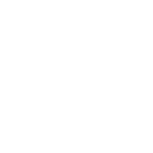 Boston University