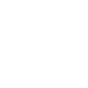 New York University