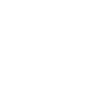 Northeastern University